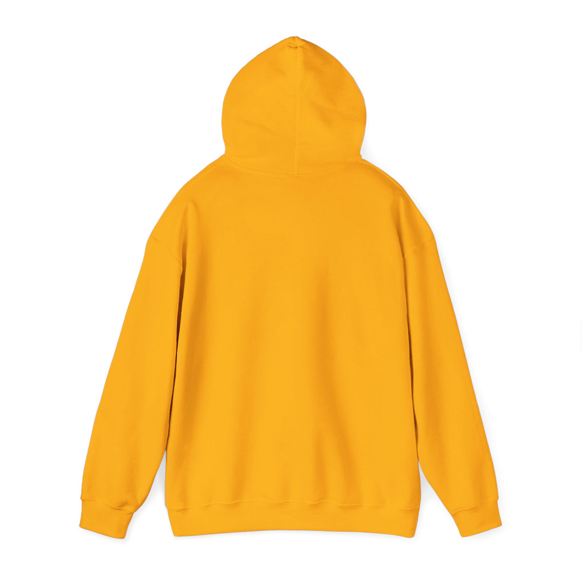 Riverside Till I Die - Boro Fan Hoodie 'front print'